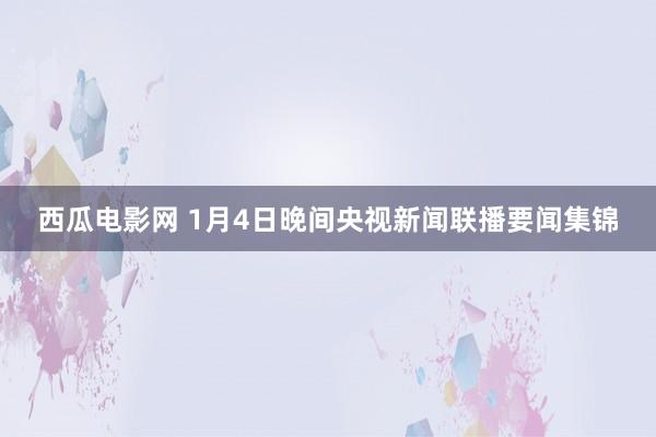 西瓜电影网 1月4日晚间央视新闻联播要闻集锦
