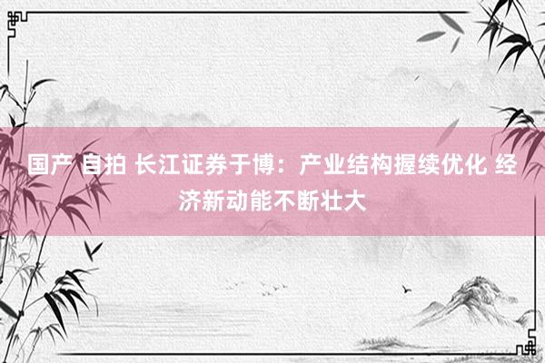 国产 自拍 长江证券于博：产业结构握续优化 经济新动能不断壮大