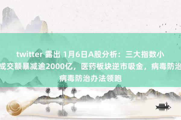 twitter 露出 1月6日A股分析：三大指数小幅下落，成交额暴减逾2000亿，医药板块逆市吸金，病毒防治办法领跑
