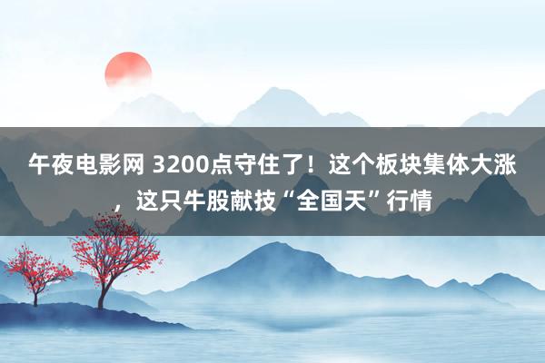 午夜电影网 3200点守住了！这个板块集体大涨，这只牛股献技“全国天”行情