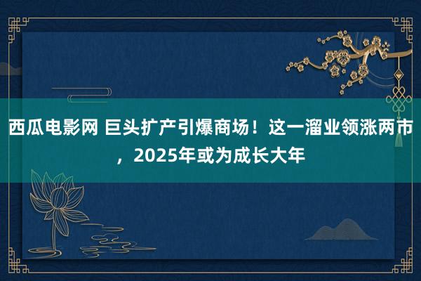 西瓜电影网 巨头扩产引爆商场！这一溜业领涨两市，2025年或为成长大年