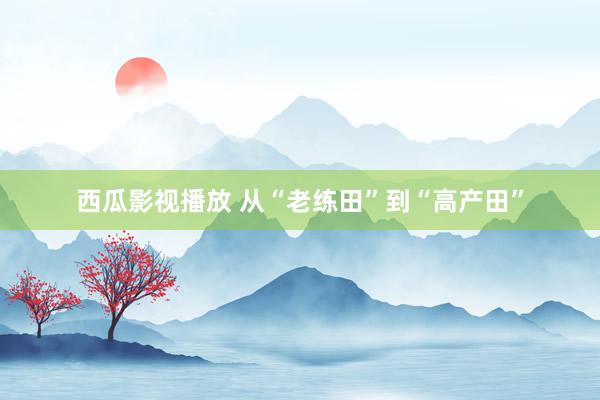 西瓜影视播放 从“老练田”到“高产田”