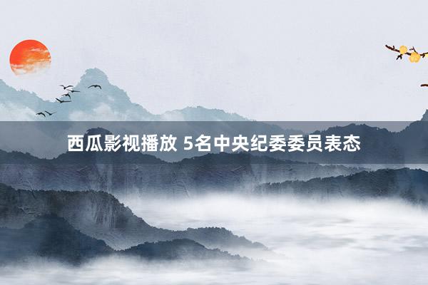 西瓜影视播放 5名中央纪委委员表态