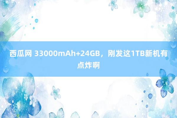西瓜网 33000mAh+24GB，刚发这1TB新机有点炸啊