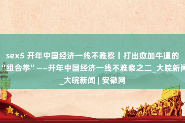 sex5 开年中国经济一线不雅察丨打出愈加牛逼的财政政策“组合拳”——开年中国经济一线不雅察之二_大皖新闻 | 安徽网