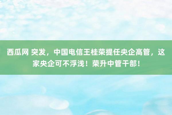 西瓜网 突发，中国电信王桂荣提任央企高管，这家央企可不浮浅！荣升中管干部！