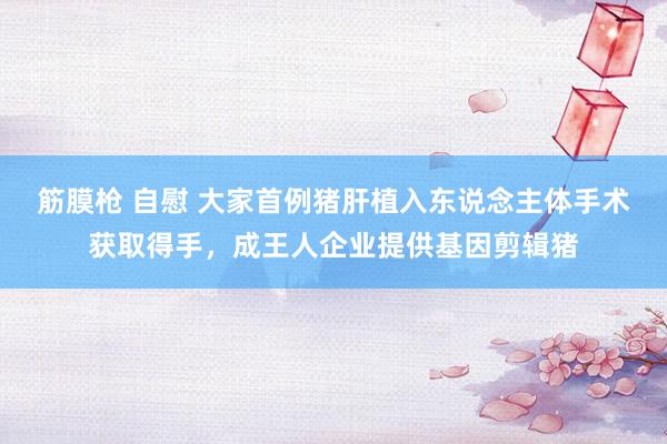 筋膜枪 自慰 大家首例猪肝植入东说念主体手术获取得手，成王人企业提供基因剪辑猪