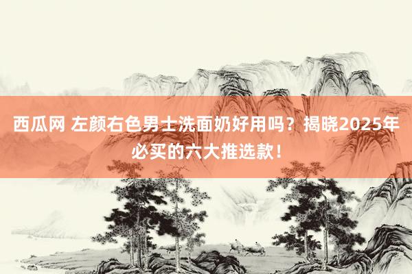 西瓜网 左颜右色男士洗面奶好用吗？揭晓2025年必买的六大推选款！