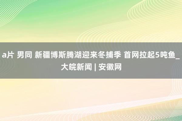 a片 男同 新疆博斯腾湖迎来冬捕季 首网拉起5吨鱼_大皖新闻 | 安徽网