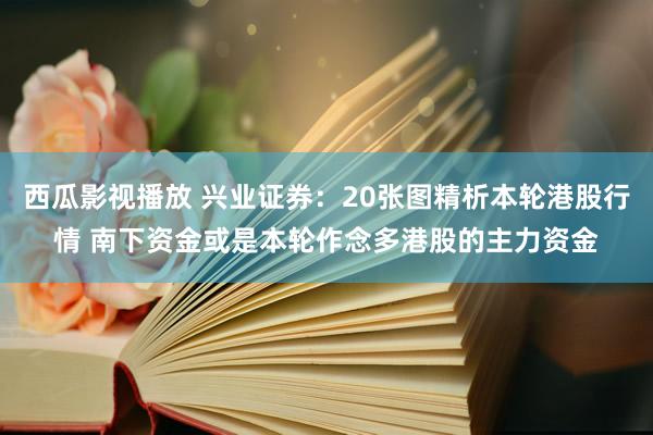 西瓜影视播放 兴业证券：20张图精析本轮港股行情 南下资金或是本轮作念多港股的主力资金