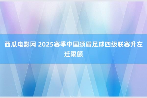 西瓜电影网 2025赛季中国须眉足球四级联赛升左迁限额