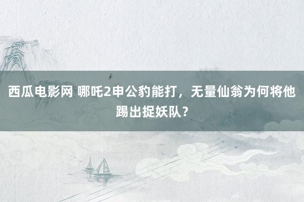 西瓜电影网 哪吒2申公豹能打，无量仙翁为何将他踢出捉妖队？