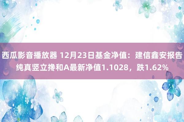 西瓜影音播放器 12月23日基金净值：建信鑫安报告纯真竖立搀和A最新净值1.1028，跌1.62%