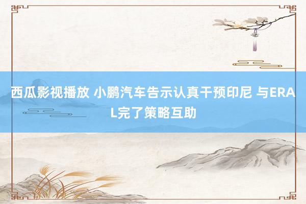 西瓜影视播放 小鹏汽车告示认真干预印尼 与ERAL完了策略互助
