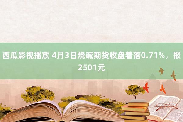 西瓜影视播放 4月3日烧碱期货收盘着落0.71%，报2501元