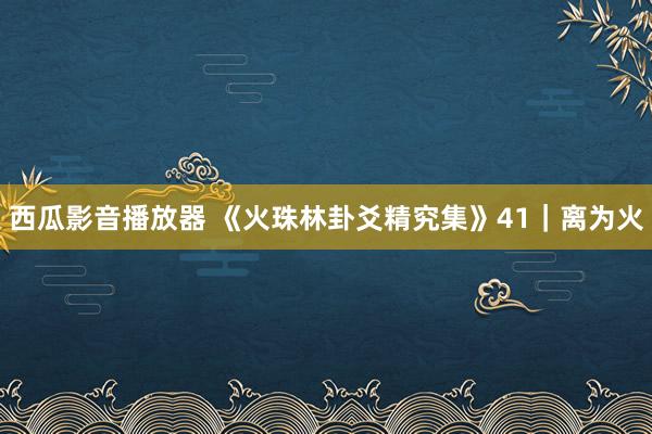 西瓜影音播放器 《火珠林卦爻精究集》41｜离为火