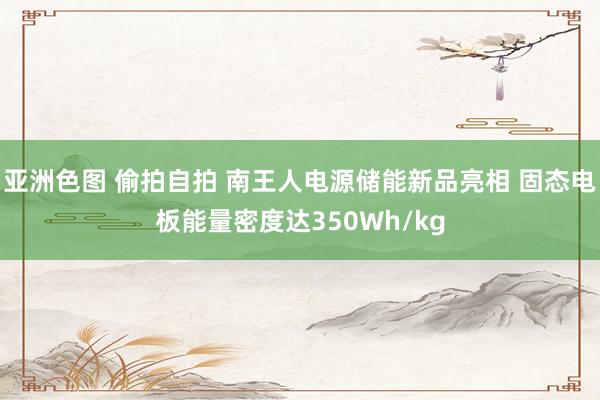亚洲色图 偷拍自拍 南王人电源储能新品亮相 固态电板能量密度达350Wh/kg