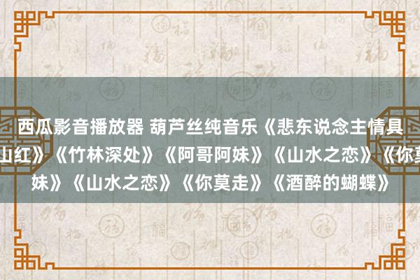 西瓜影音播放器 葫芦丝纯音乐《悲东说念主情具》《赶摆记忆》《映山红》《竹林深处》《阿哥阿妹》《山水之恋》《你莫走》《酒醉的蝴蝶》