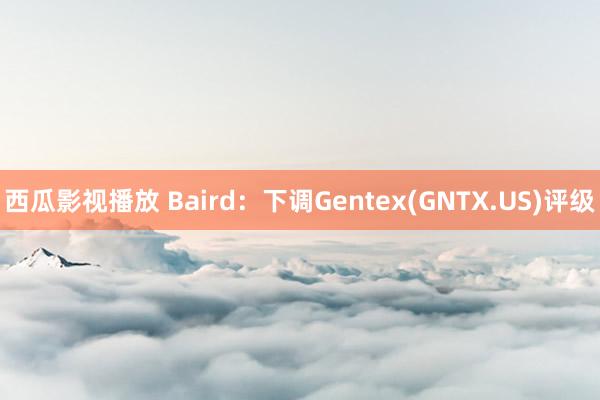 西瓜影视播放 Baird：下调Gentex(GNTX.US)评级