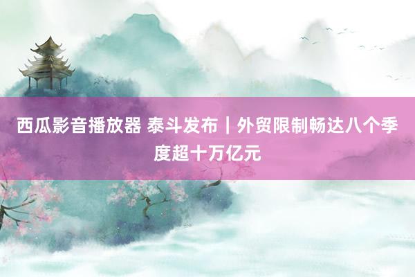 西瓜影音播放器 泰斗发布｜外贸限制畅达八个季度超十万亿元
