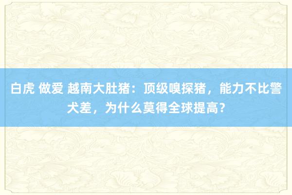 白虎 做爱 越南大肚猪：顶级嗅探猪，能力不比警犬差，为什么莫得全球提高？