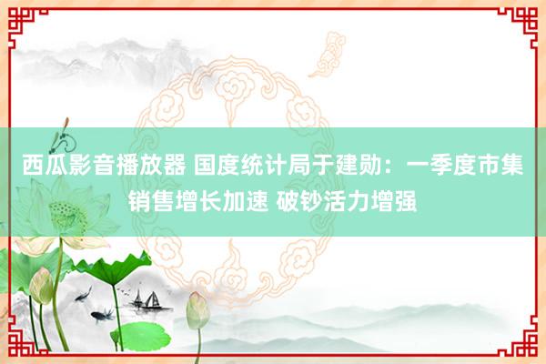 西瓜影音播放器 国度统计局于建勋：一季度市集销售增长加速 破钞活力增强