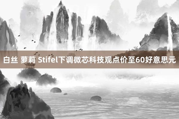 白丝 萝莉 Stifel下调微芯科技观点价至60好意思元